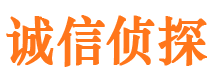 青阳市侦探公司